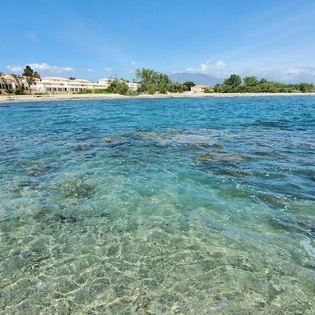 Marine De Bravone T2 Terrasse Front De Mer - Plage Pieds Dans L'Eau - Clim - Piscine - Wifi Linguizzetta Eksteriør billede