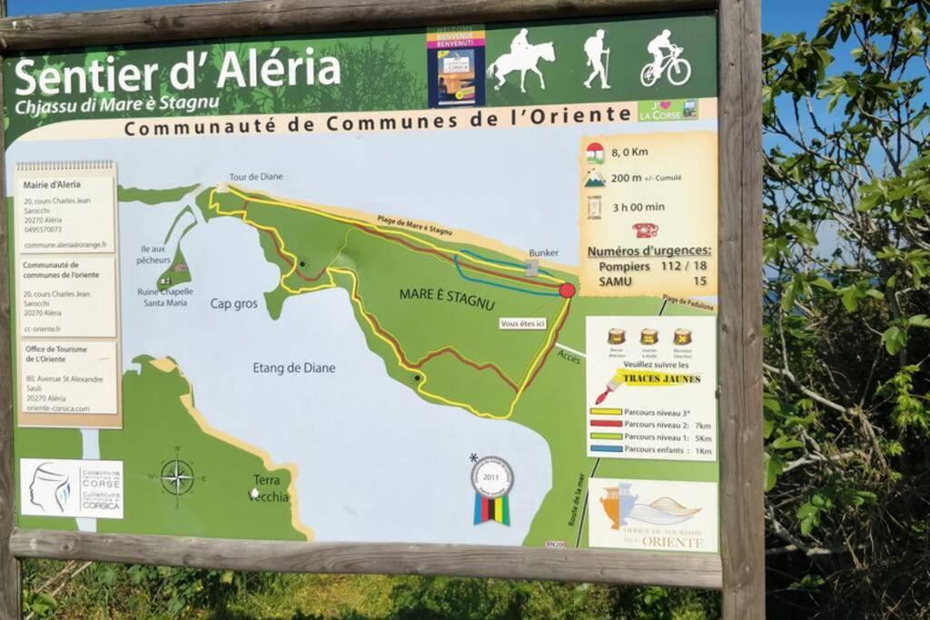Marine De Bravone T2 Terrasse Front De Mer - Plage Pieds Dans L'Eau - Clim - Piscine - Wifi Linguizzetta Eksteriør billede