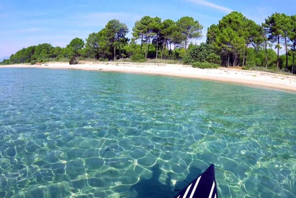 Marine De Bravone T2 Terrasse Front De Mer - Plage Pieds Dans L'Eau - Clim - Piscine - Wifi Linguizzetta Eksteriør billede