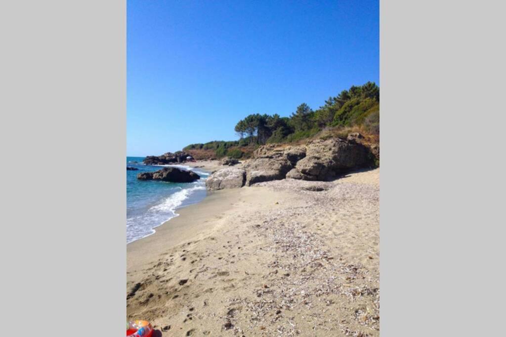 Marine De Bravone T2 Terrasse Front De Mer - Plage Pieds Dans L'Eau - Clim - Piscine - Wifi Linguizzetta Eksteriør billede