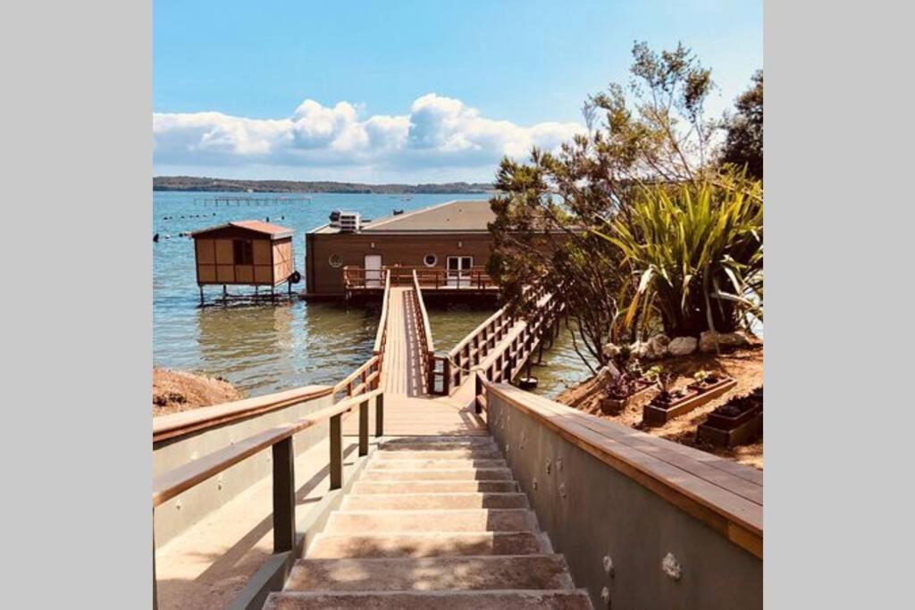 Marine De Bravone T2 Terrasse Front De Mer - Plage Pieds Dans L'Eau - Clim - Piscine - Wifi Linguizzetta Eksteriør billede