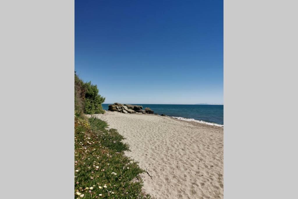 Marine De Bravone T2 Terrasse Front De Mer - Plage Pieds Dans L'Eau - Clim - Piscine - Wifi Linguizzetta Eksteriør billede
