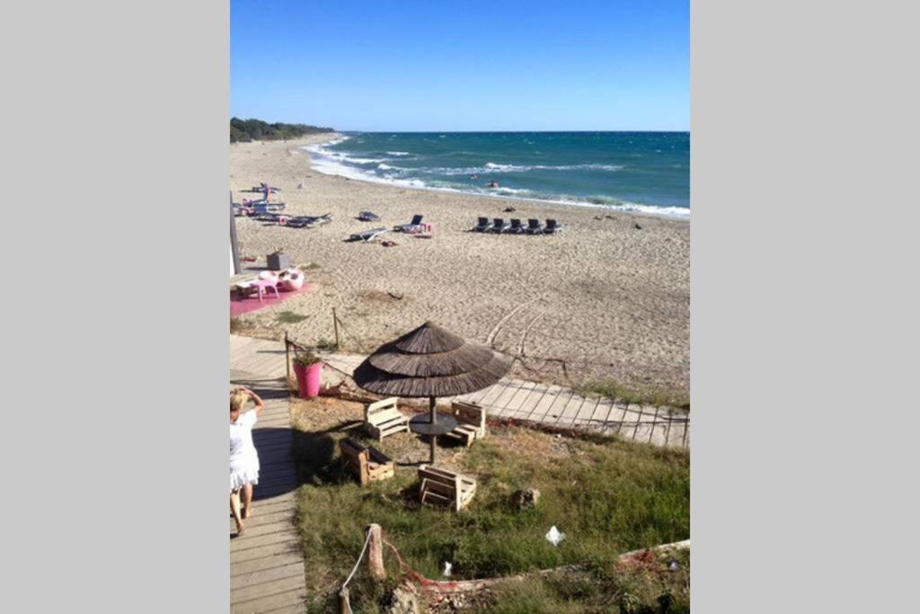 Marine De Bravone T2 Terrasse Front De Mer - Plage Pieds Dans L'Eau - Clim - Piscine - Wifi Linguizzetta Eksteriør billede