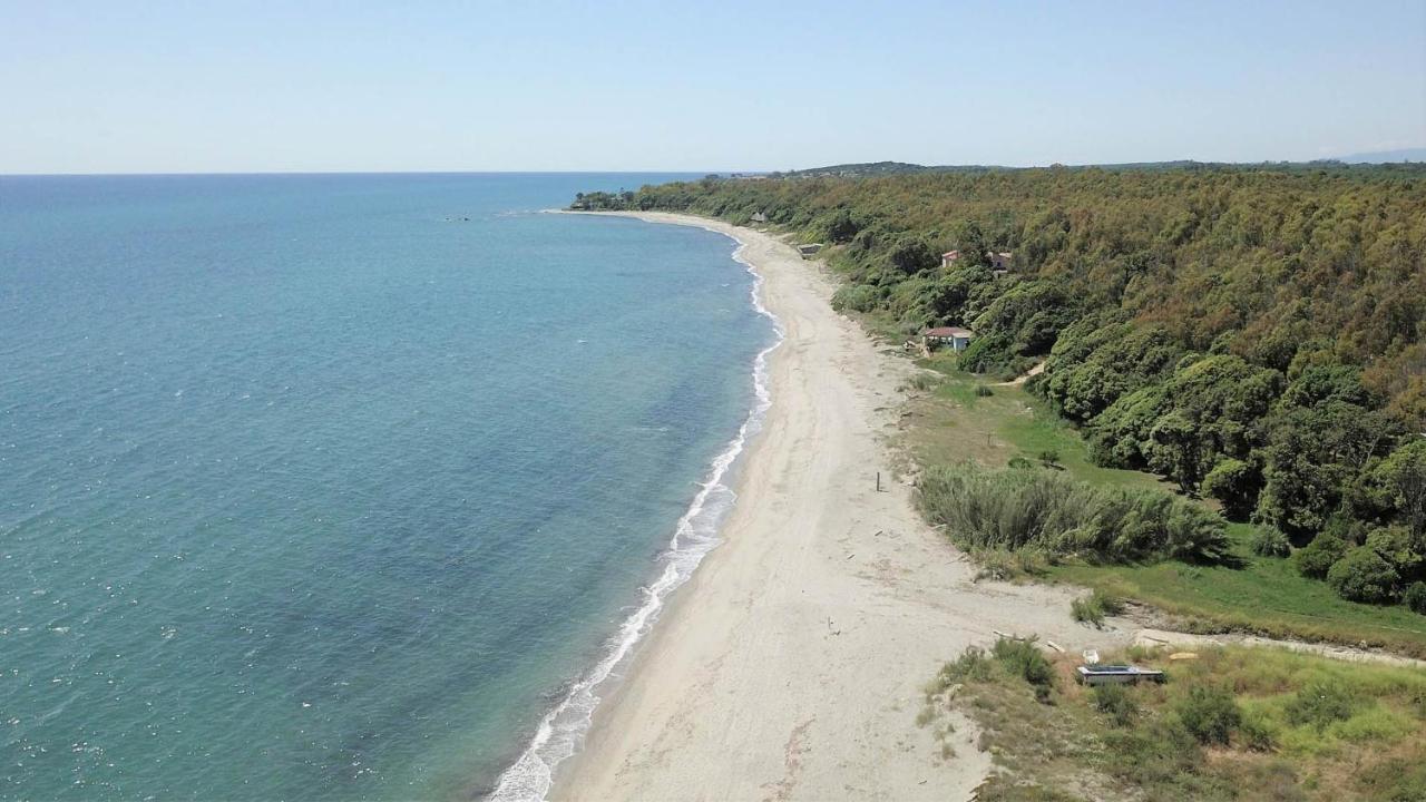 Marine De Bravone T2 Terrasse Front De Mer - Plage Pieds Dans L'Eau - Clim - Piscine - Wifi Linguizzetta Eksteriør billede