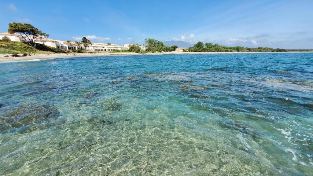 Marine De Bravone T2 Terrasse Front De Mer - Plage Pieds Dans L'Eau - Clim - Piscine - Wifi Linguizzetta Eksteriør billede